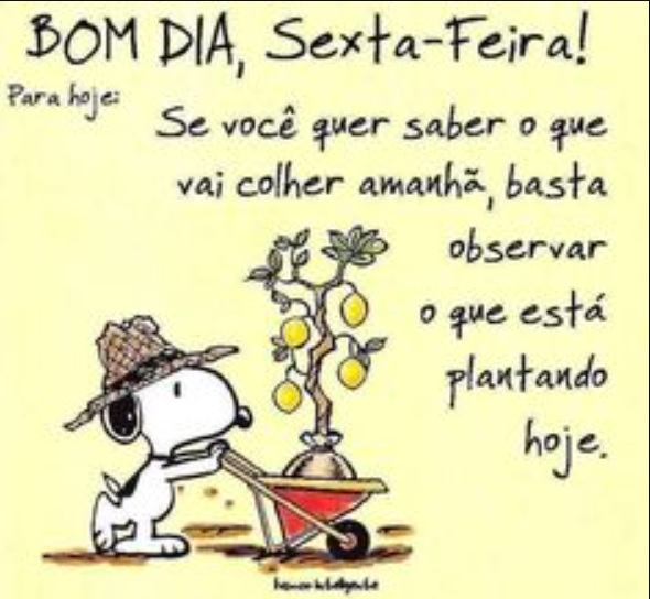 Galera das Ofertas - Frase de Bom dia - Sexta