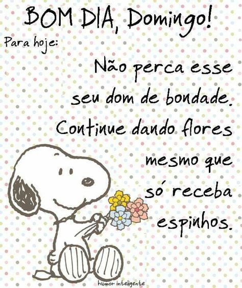 Galera das Ofertas - Frase de Bom dia - Domingo